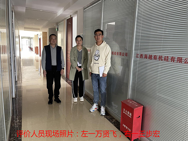 江西海越有機硅有限公司貿易調撥經(jīng)營(yíng)危險化學(xué)品安全現狀 評價(jià)
