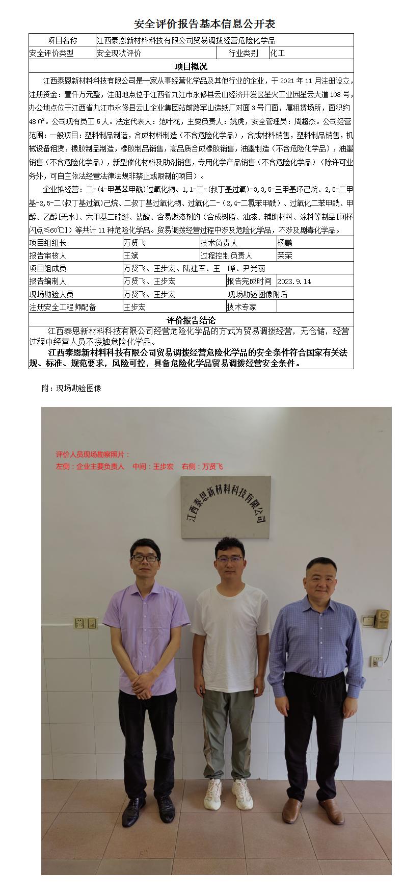 安全現狀評價(jià)報告基本信息公開(kāi)表（泰恩）