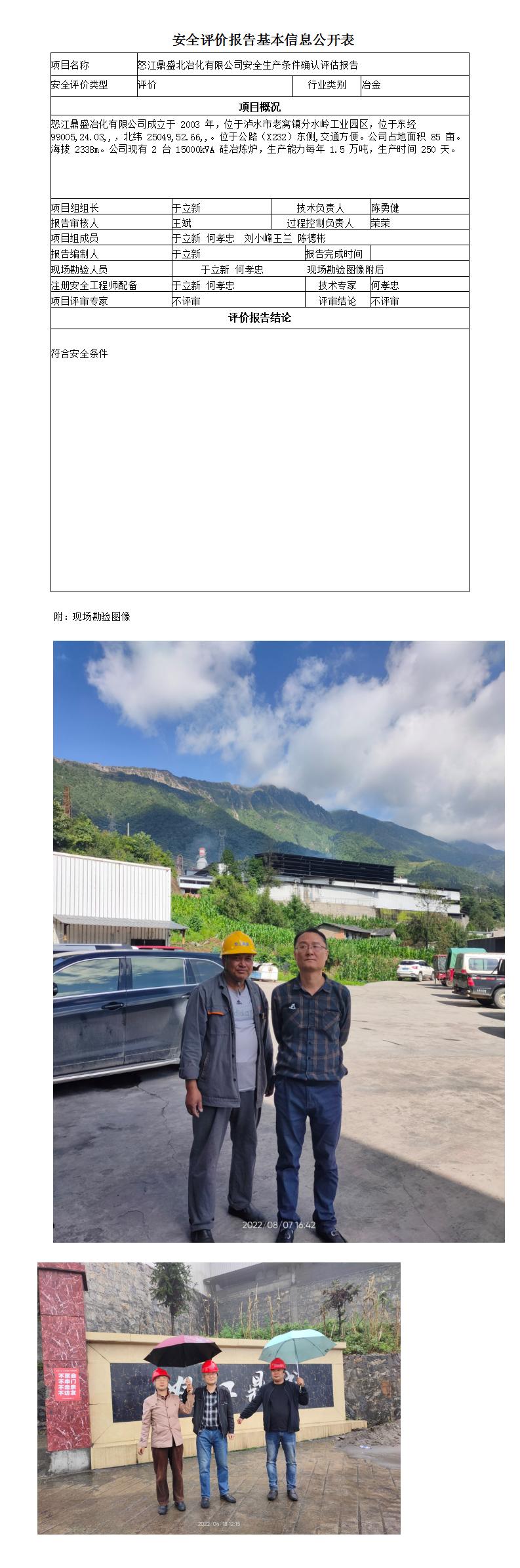 鼎盛報告基本信息公開(kāi)表