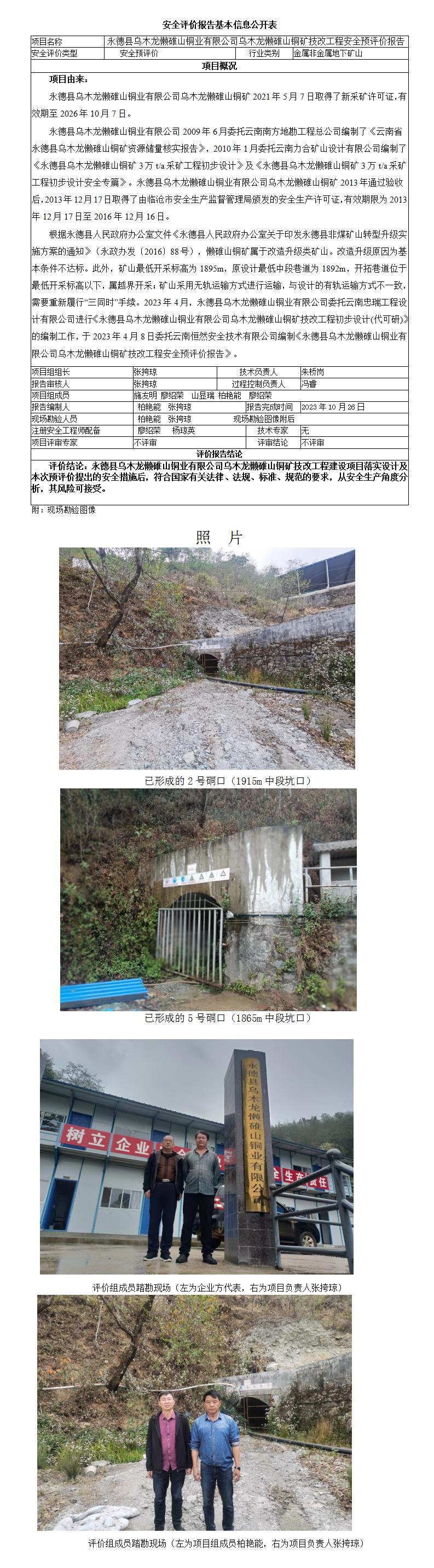 基本信息公開(kāi)表永德縣烏木龍懶碓山銅業(yè)有限公司烏木龍懶碓山銅礦技改