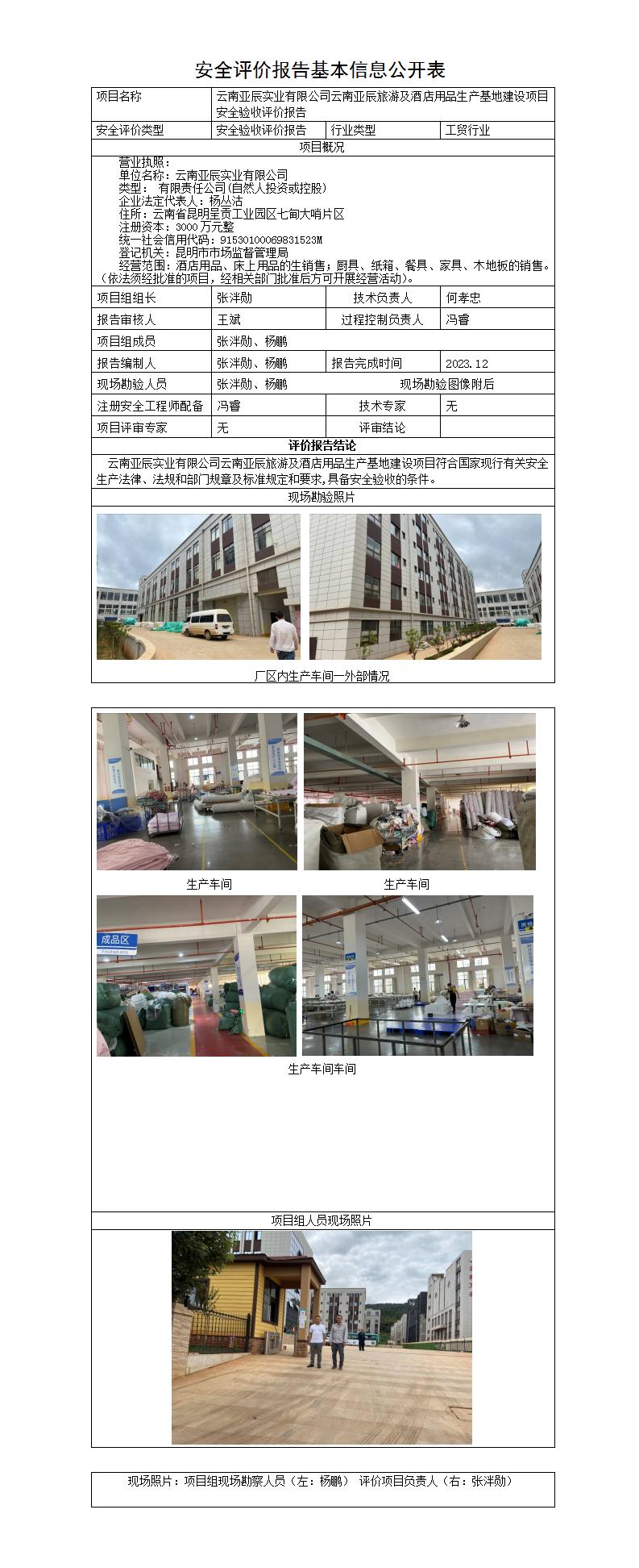 安全評價(jià)報告基本信息公開(kāi)表（亞辰）