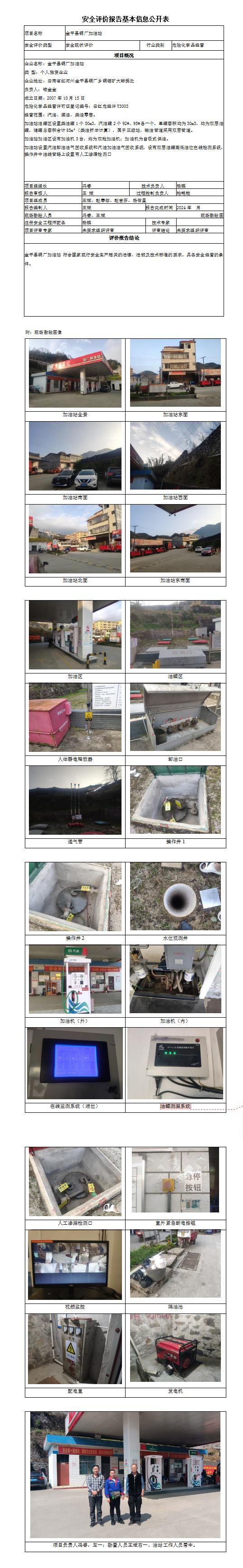 安全評價(jià)報告基本信息公開(kāi)表 金平縣銅廠(chǎng)