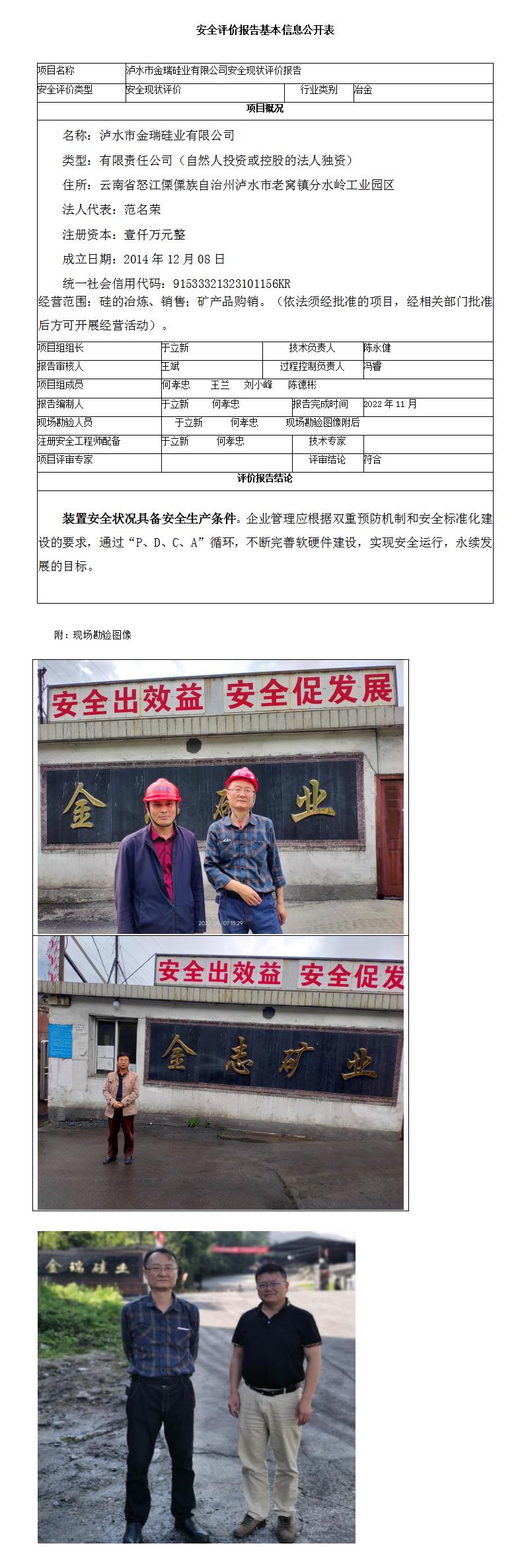 安全現狀評價(jià)（瀘水市金瑞硅業(yè)有限公司安全現狀評價(jià)報告）